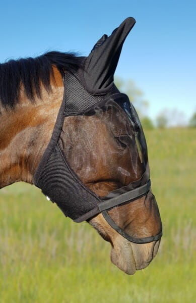 York maska przeciw owadom z osłoną na nos Cob/Full horse breeding equipment